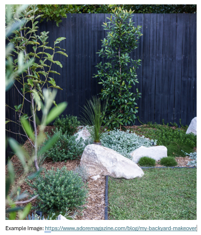 Xeriscapes Mix: Costal Silvers