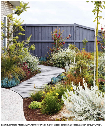 Xeriscapes Mix: Vibrant Colour