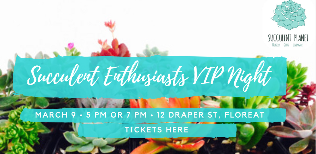 Succulent Enthusiast VIP Shopping Event