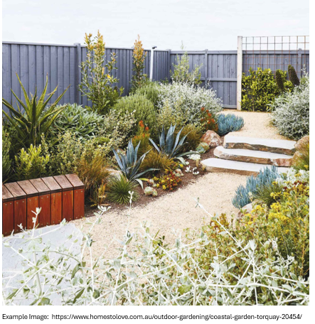 Xeriscapes Mix: Going Native