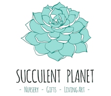 Succulent Planet