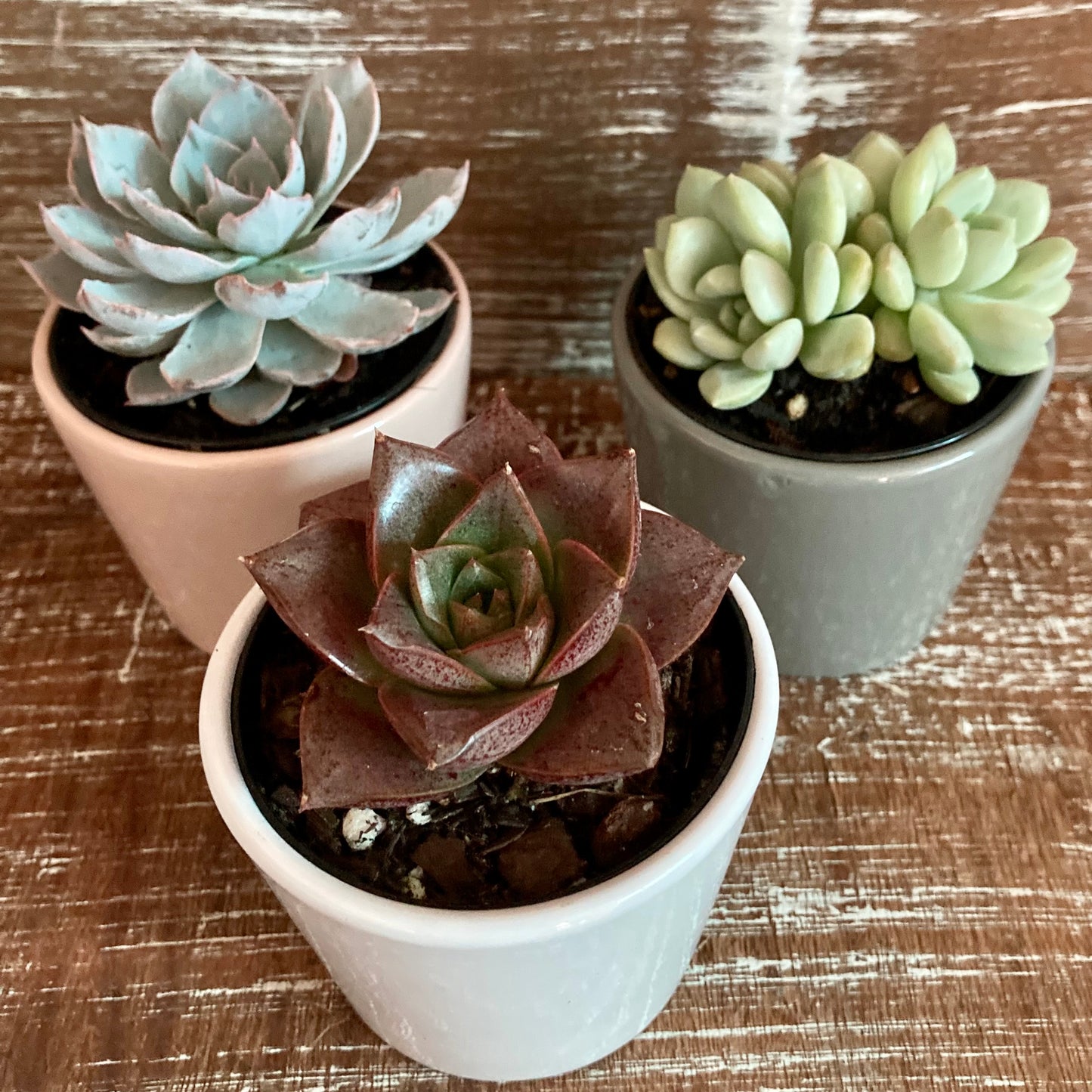 Mini Ceramic Gift Pots