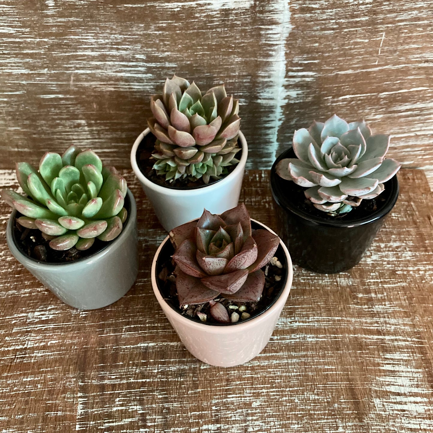 Mini Ceramic Gift Pots